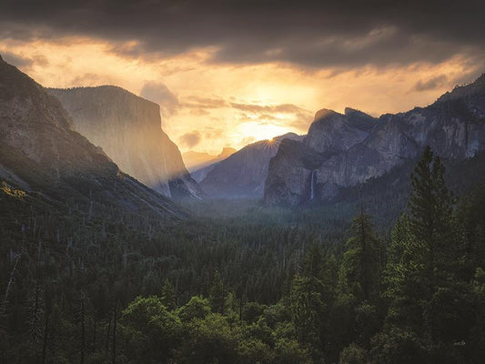 Yosemite Dreams By Martin Podt Photography (Framed) - Dark Green