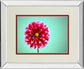 Zenia By Gail Peck - Mirror Framed Print Wall Art - Pink