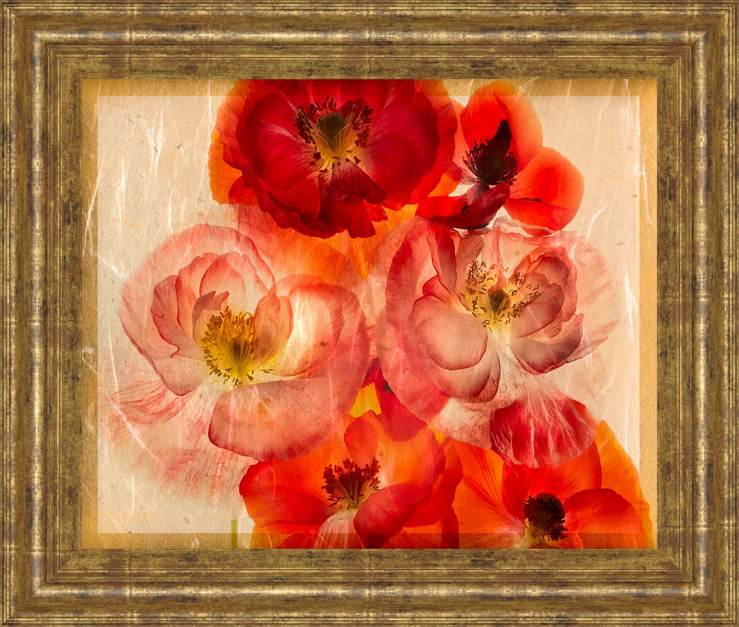 Papaver Dreams I By Harold Davis - Framed Print Wall Art - Red