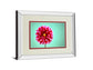 Zenia By Gail Peck - Mirror Framed Print Wall Art - Pink