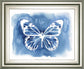 22x26 Butterfly Inkling II By Grace Popp - Blue