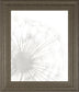 22x26 Dandelion Whisper I By Grace Popp - Pearl Silver