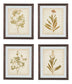 Dyani - Brown - Wall Art Set (Set of 4)